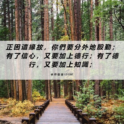 Picture 06 - 彼 得 後 書 1:5 CUVT - 正 因 這 緣 故 ， 你 們 要 分 外 地 - Bible Verse Picture