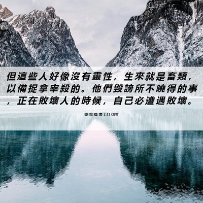 Picture 06 - 彼 得 後 書 2:12 CUVT - 但 這 些 人 好 像 沒 有 靈 性 ， 生 - Bible Verse Picture