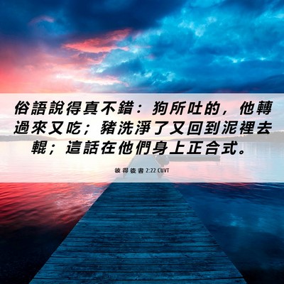 Picture 06 - 彼 得 後 書 2:22 CUVT - 俗 語 說 得 真 不 錯 ： 狗 所 吐 的 - Bible Verse Picture