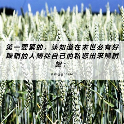 Picture 06 - 彼 得 後 書 3:3 CUVT - 第 一 要 緊 的 ， 該 知 道 在 末 世 - Bible Verse Picture