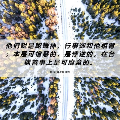 Picture 06 - 提 多 書 1:16 CUVT - 他 們 說 是 認 識 神 ， 行 事 卻 和 - Bible Verse Picture