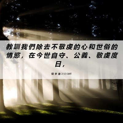 Picture 06 - 提 多 書 2:12 CUVT - 教 訓 我 們 除 去 不 敬 虔 的 心 和 - Bible Verse Picture