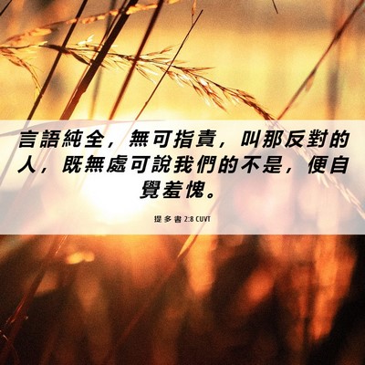 Picture 06 - 提 多 書 2:8 CUVT - 言 語 純 全 ， 無 可 指 責 ， 叫 那 - Bible Verse Picture