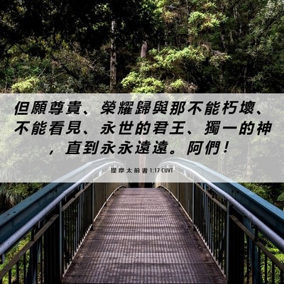 Picture 06 - 提 摩 太 前 書 1:17 CUVT - 但 願 尊 貴 、 榮 耀 歸 與 那 不 能 - Bible Verse Picture