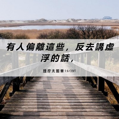 Picture 06 - 提 摩 太 前 書 1:6 CUVT - 有 人 偏 離 這 些 ， 反 去 講 虛 浮 - Bible Verse Picture