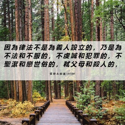 Picture 06 - 提 摩 太 前 書 1:9 CUVT - 因 為 律 法 不 是 為 義 人 設 立 的 - Bible Verse Picture
