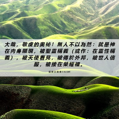 Picture 06 - 提 摩 太 前 書 3:16 CUVT - 大 哉 ， 敬 虔 的 奧 祕 ！ 無 人 不 - Bible Verse Picture