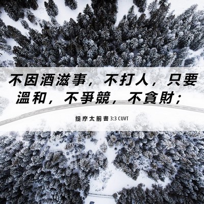 Picture 06 - 提 摩 太 前 書 3:3 CUVT - 不 因 酒 滋 事 ， 不 打 人 ， 只 要 - Bible Verse Picture