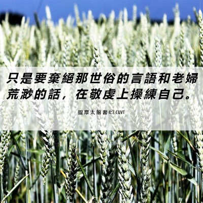 Picture 06 - 提 摩 太 前 書 4:7 CUVT - 只 是 要 棄 絕 那 世 俗 的 言 語 和 - Bible Verse Picture