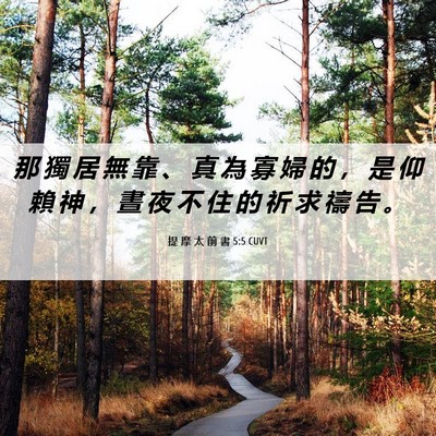 Picture 06 - 提 摩 太 前 書 5:5 CUVT - 那 獨 居 無 靠 、 真 為 寡 婦 的 ， - Bible Verse Picture