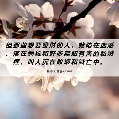 Picture 06 - 提 摩 太 前 書 6:9 CUVT - 但 那 些 想 要 發 財 的 人 ， 就 陷 - Bible Verse Picture