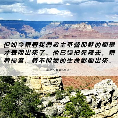 Picture 06 - 提 摩 太 後 書 1:10 CUVT - 但 如 今 藉 著 我 們 救 主 基 督 耶 - Bible Verse Picture