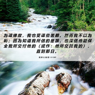 Picture 06 - 提 摩 太 後 書 1:12 CUVT - 為 這 緣 故 ， 我 也 受 這 些 苦 難 - Bible Verse Picture