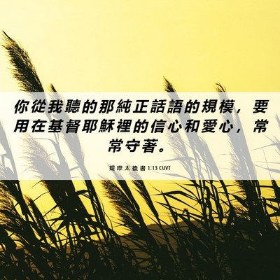 Picture 06 - 提 摩 太 後 書 1:13 CUVT - 你 從 我 聽 的 那 純 正 話 語 的 規 - Bible Verse Picture