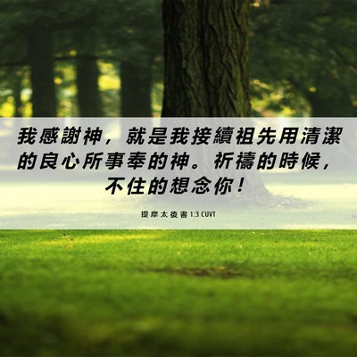 Picture 06 - 提 摩 太 後 書 1:3 CUVT - 我 感 謝 神 ， 就 是 我 接 續 祖 先 - Bible Verse Picture