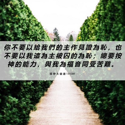 Picture 06 - 提 摩 太 後 書 1:8 CUVT - 你 不 要 以 給 我 們 的 主 作 見 證 - Bible Verse Picture