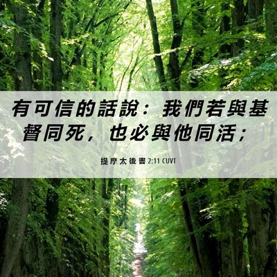 Picture 06 - 提 摩 太 後 書 2:11 CUVT - 有 可 信 的 話 說 ： 我 們 若 與 基 - Bible Verse Picture