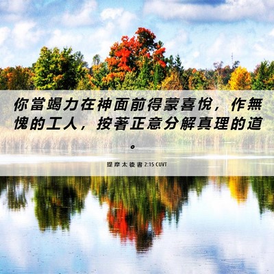 Picture 06 - 提 摩 太 後 書 2:15 CUVT - 你 當 竭 力 在 神 面 前 得 蒙 喜 悅 - Bible Verse Picture