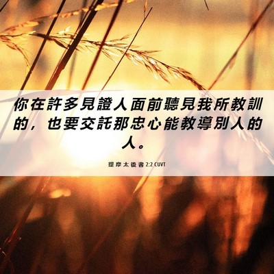 Picture 06 - 提 摩 太 後 書 2:2 CUVT - 你 在 許 多 見 證 人 面 前 聽 見 我 - Bible Verse Picture
