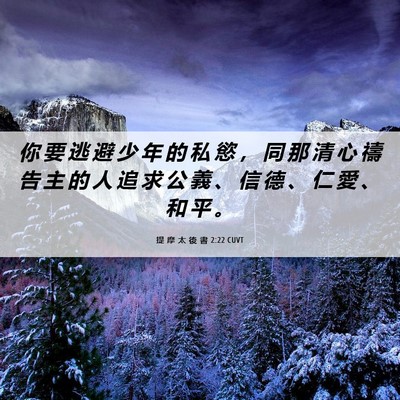 Picture 06 - 提 摩 太 後 書 2:22 CUVT - 你 要 逃 避 少 年 的 私 慾 ， 同 那 - Bible Verse Picture