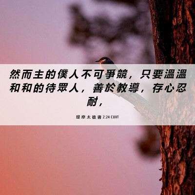 Picture 06 - 提 摩 太 後 書 2:24 CUVT - 然 而 主 的 僕 人 不 可 爭 競 ， 只 - Bible Verse Picture