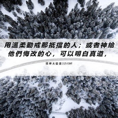 Picture 06 - 提 摩 太 後 書 2:25 CUVT - 用 溫 柔 勸 戒 那 抵 擋 的 人 ； 或 - Bible Verse Picture