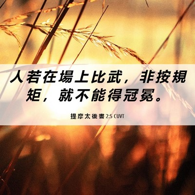 Picture 06 - 提 摩 太 後 書 2:5 CUVT - 人 若 在 場 上 比 武 ， 非 按 規 矩 - Bible Verse Picture