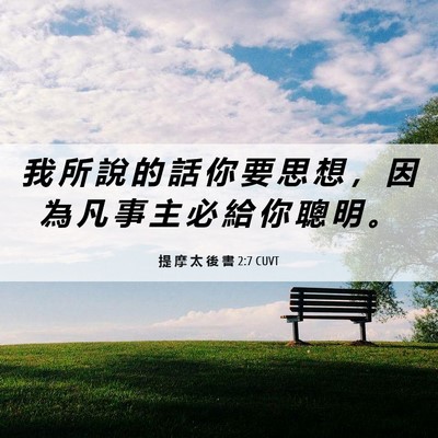 Picture 06 - 提 摩 太 後 書 2:7 CUVT - 我 所 說 的 話 你 要 思 想 ， 因 為 - Bible Verse Picture