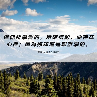 Picture 06 - 提 摩 太 後 書 3:14 CUVT - 但 你 所 學 習 的 ， 所 確 信 的 ， - Bible Verse Picture
