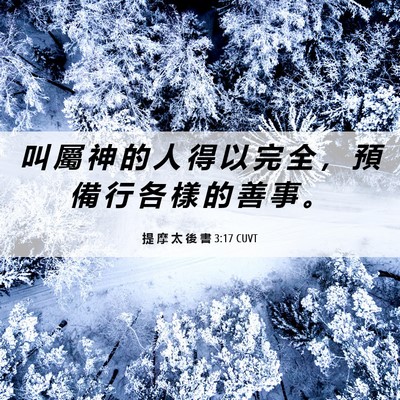 Picture 06 - 提 摩 太 後 書 3:17 CUVT - 叫 屬 神 的 人 得 以 完 全 ， 預 備 - Bible Verse Picture