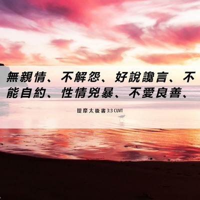 Picture 06 - 提 摩 太 後 書 3:3 CUVT - 無 親 情 、 不 解 怨 、 好 說 讒 言 - Bible Verse Picture