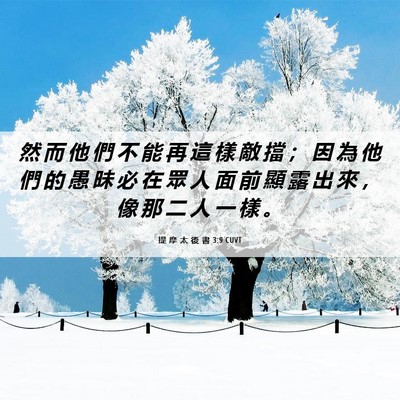 Picture 06 - 提 摩 太 後 書 3:9 CUVT - 然 而 他 們 不 能 再 這 樣 敵 擋 ； - Bible Verse Picture