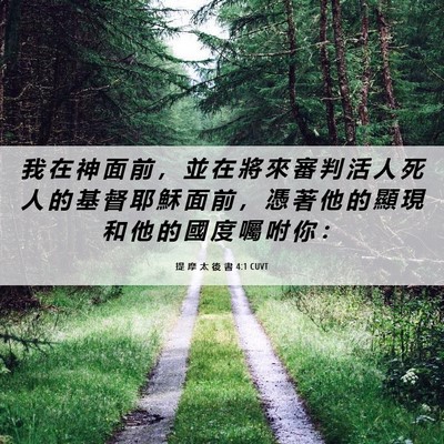Picture 06 - 提 摩 太 後 書 4:1 CUVT - 我 在 神 面 前 ， 並 在 將 來 審 判 - Bible Verse Picture