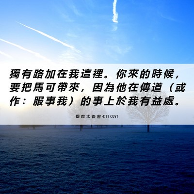 Picture 06 - 提 摩 太 後 書 4:11 CUVT - 獨 有 路 加 在 我 這 裡 。 你 來 的 - Bible Verse Picture