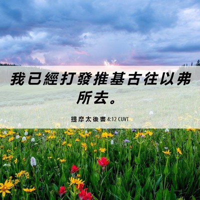 Picture 06 - 提 摩 太 後 書 4:12 CUVT - 我 已 經 打 發 推 基 古 往 以 弗 所 - Bible Verse Picture