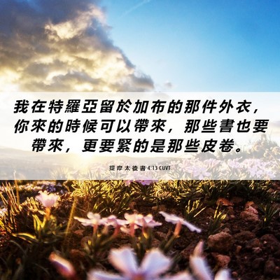 Picture 06 - 提 摩 太 後 書 4:13 CUVT - 我 在 特 羅 亞 留 於 加 布 的 那 件 - Bible Verse Picture