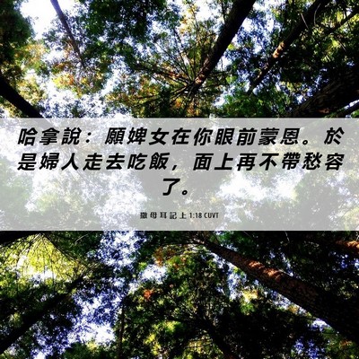 Picture 06 - 撒 母 耳 記 上 1:18 CUVT - 哈 拿 說 ： 願 婢 女 在 你 眼 前 蒙 - Bible Verse Picture