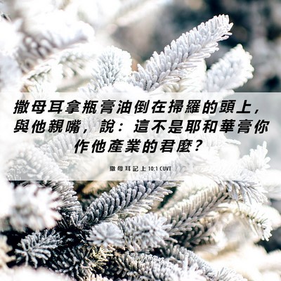 Picture 06 - 撒 母 耳 記 上 10:1 CUVT - 撒 母 耳 拿 瓶 膏 油 倒 在 掃 羅 的 - Bible Verse Picture
