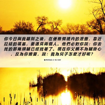 Picture 06 - 撒 母 耳 記 上 10:2 CUVT - 你 今 日 與 我 離 別 之 後 ， 在 便 - Bible Verse Picture