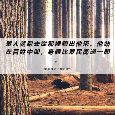 Picture 06 - 撒 母 耳 記 上 10:23 CUVT - 眾 人 就 跑 去 從 那 裡 領 出 他 來 - Bible Verse Picture