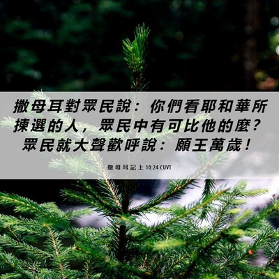 Picture 06 - 撒 母 耳 記 上 10:24 CUVT - 撒 母 耳 對 眾 民 說 ： 你 們 看 耶 - Bible Verse Picture