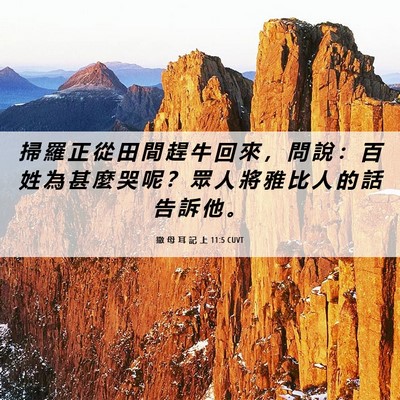 Picture 06 - 撒 母 耳 記 上 11:5 CUVT - 掃 羅 正 從 田 間 趕 牛 回 來 ， 問 - Bible Verse Picture