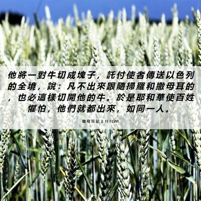 Picture 06 - 撒 母 耳 記 上 11:7 CUVT - 他 將 一 對 牛 切 成 塊 子 ， 託 付 - Bible Verse Picture