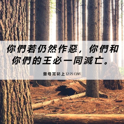 Picture 06 - 撒 母 耳 記 上 12:25 CUVT - 你 們 若 仍 然 作 惡 ， 你 們 和 你 - Bible Verse Picture