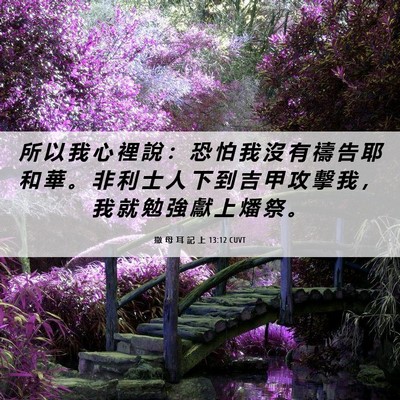 Picture 06 - 撒 母 耳 記 上 13:12 CUVT - 所 以 我 心 裡 說 ： 恐 怕 我 沒 有 - Bible Verse Picture