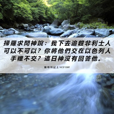Picture 06 - 撒 母 耳 記 上 14:37 CUVT - 掃 羅 求 問 神 說 ： 我 下 去 追 趕 - Bible Verse Picture
