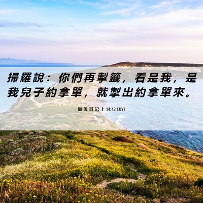 Picture 06 - 撒 母 耳 記 上 14:42 CUVT - 掃 羅 說 ： 你 們 再 掣 籤 ， 看 是 - Bible Verse Picture