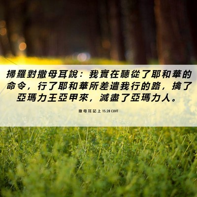 Picture 06 - 撒 母 耳 記 上 15:20 CUVT - 掃 羅 對 撒 母 耳 說 ： 我 實 在 聽 - Bible Verse Picture