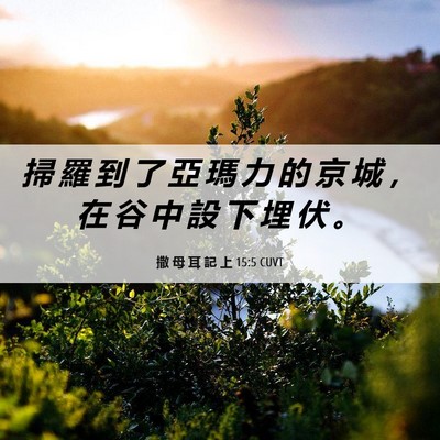 Picture 06 - 撒 母 耳 記 上 15:5 CUVT - 掃 羅 到 了 亞 瑪 力 的 京 城 ， 在 - Bible Verse Picture