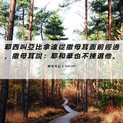 Picture 06 - 撒 母 耳 記 上 16:8 CUVT - 耶 西 叫 亞 比 拿 達 從 撒 母 耳 面 - Bible Verse Picture